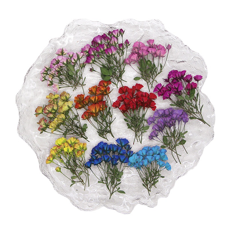 Dried Flower Bookmark - 36X pressato essiccato Multi-teste tinto boccioli