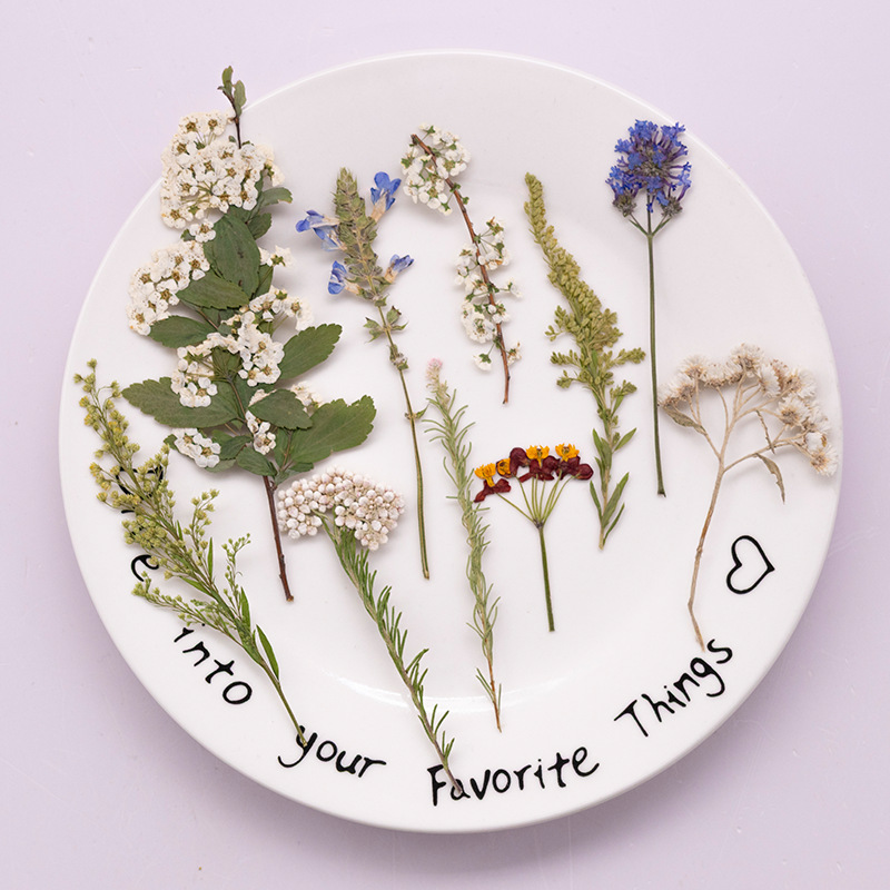 Confezione da 500 Pezzi di Fio - Dried Flower Bookmark recensione e prezzo